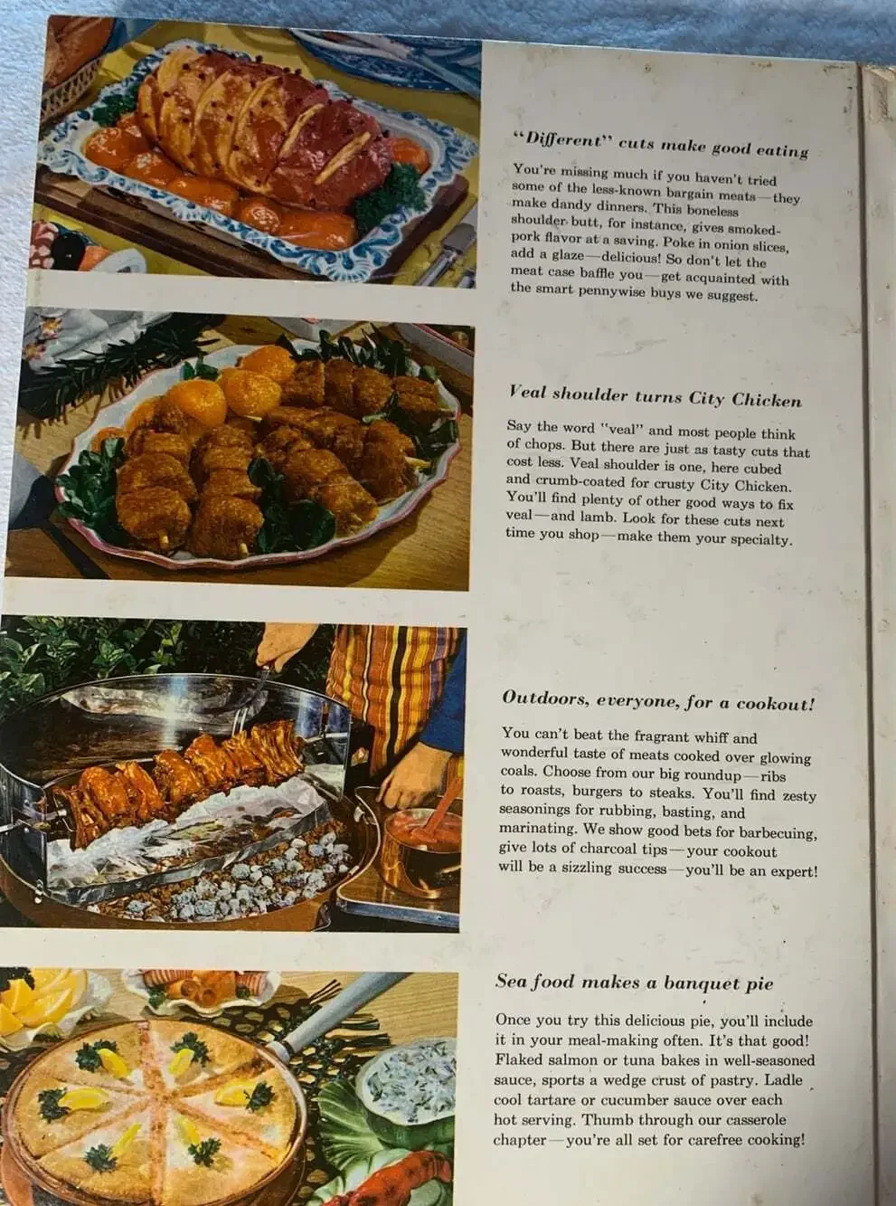 The Meat Cookbook